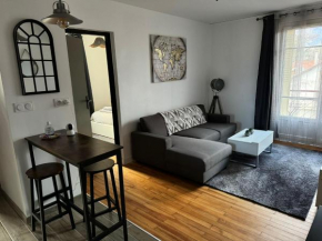 Appartement proche Grenoble centre et campus